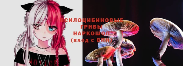 кокс Алагир