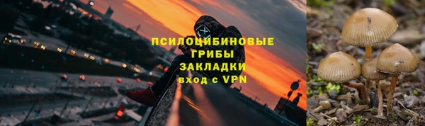 spice Алапаевск