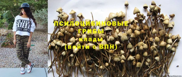 трава Мегион