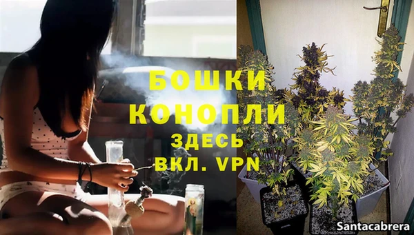 трава Мегион