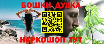 СК Дубна