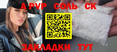 СК Дубна