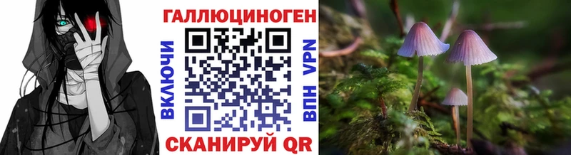 Галлюциногенные грибы MAGIC MUSHROOMS где купить даркнет состав Тавда гидра ССЫЛКА