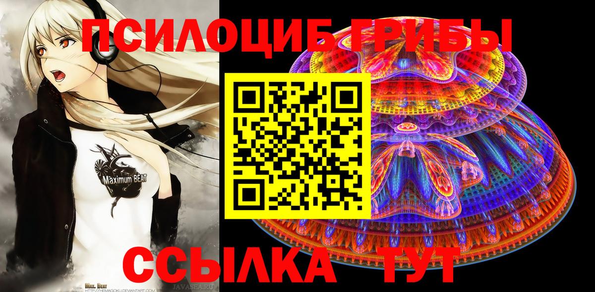 Галлюциногенные грибы GOLDEN TEACHER Тавда
